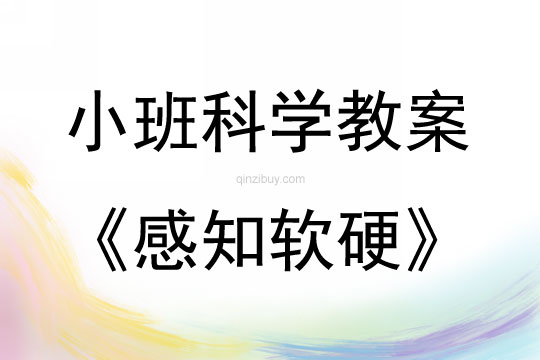 小班科學(xué)感知軟硬教案反思