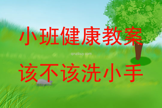 小班健康公開課該不該洗小手教案反思