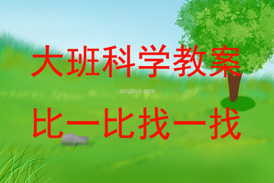 大班科學比一比找一找教案反思