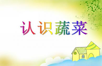 中班科學優質課認識蔬菜PPT課件