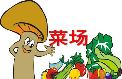 中班社會活動菜場PPT課件