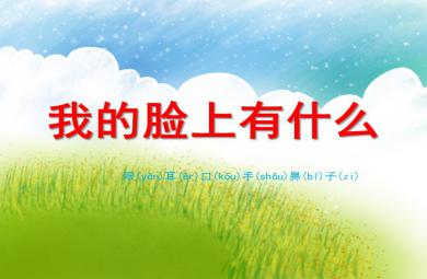 小班科學(xué)活動我的臉上有什么PPT課件