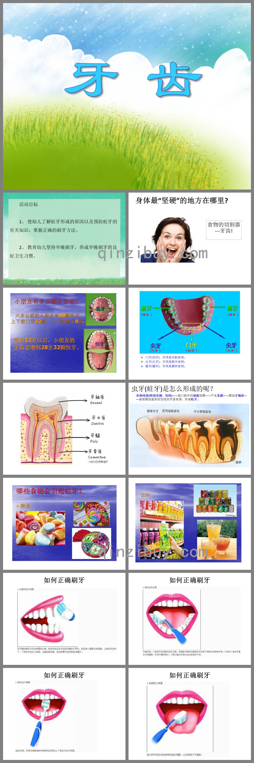 大班健康常識牙齒PPT課件