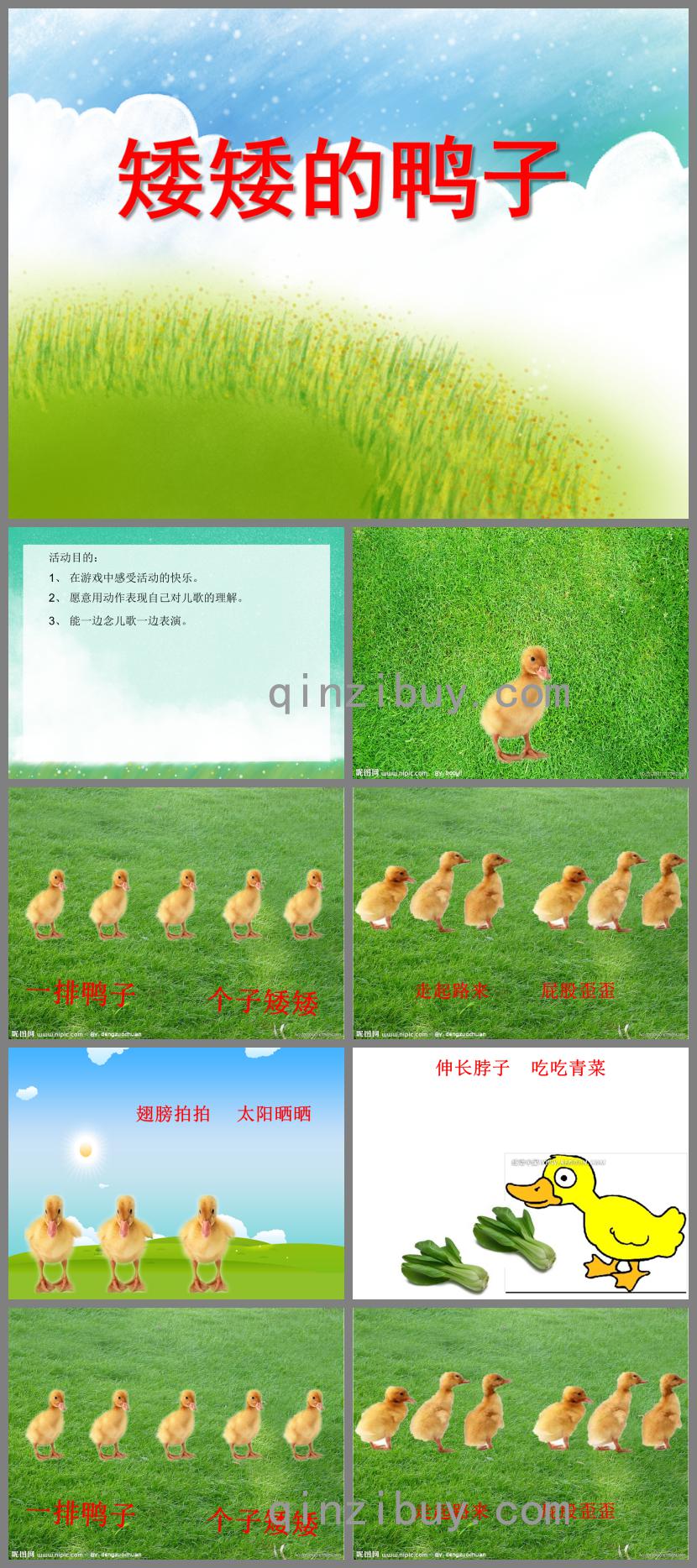 小班語言活動矮矮的鴨子PPT課件