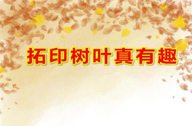 小班美術(shù)拓印樹葉真有趣PPT課件