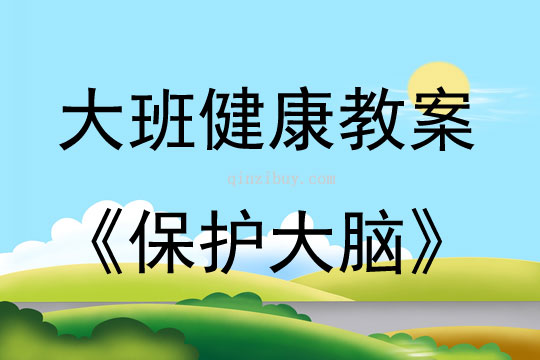 大班健康保護大腦教案反思