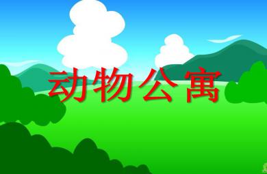 中班數學老虎大王的動物公寓PPT課件
