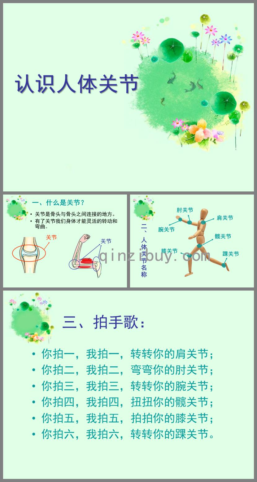 大班健康認識人體關節PPT課件