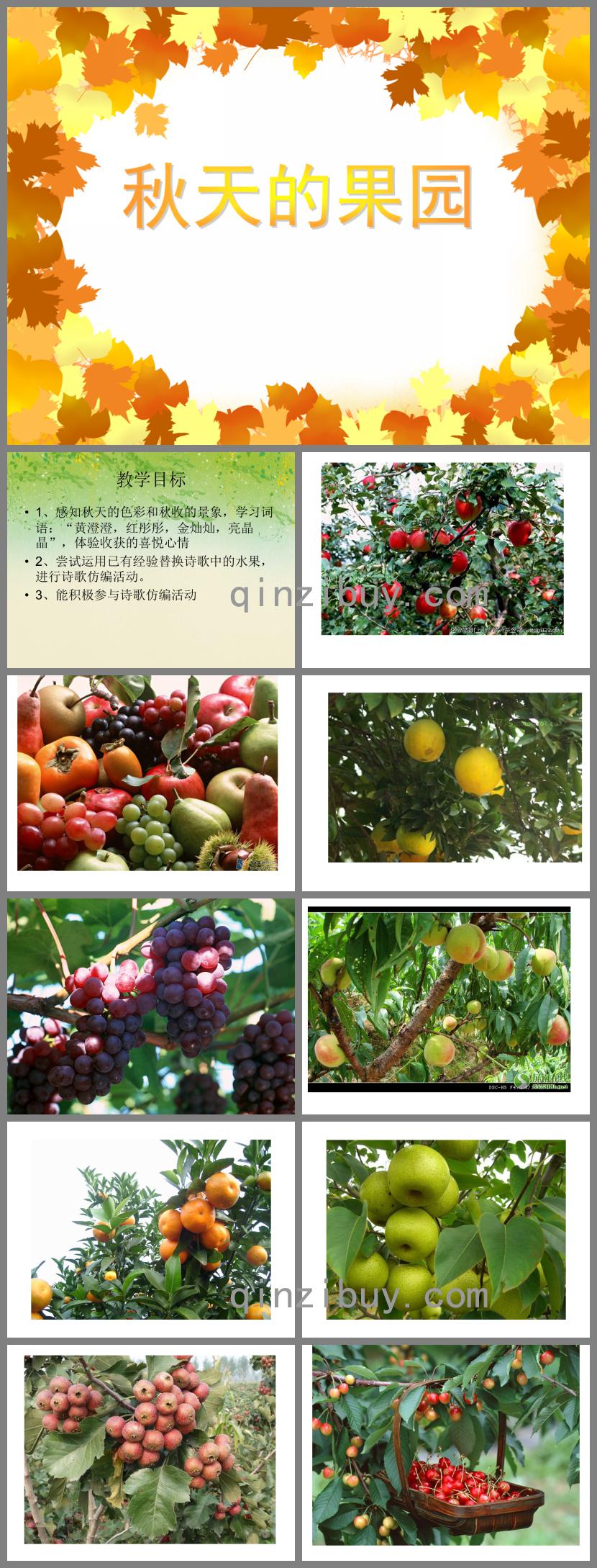 中班數學秋天的果園PPT課件