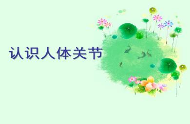 大班健康認識人體關節PPT課件