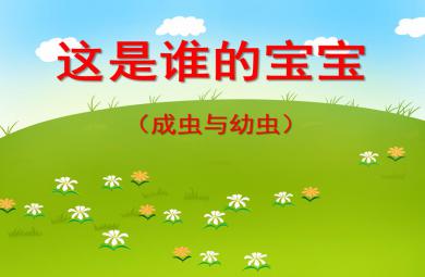 <s>中班科學這是誰的寶寶（成蟲與幼蟲）PPT課件</s>