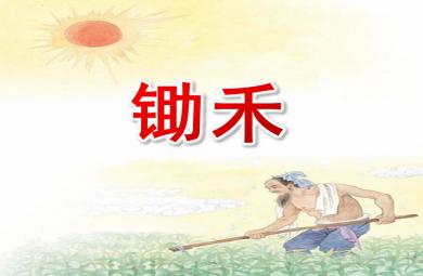 小班語言故事鋤禾PPT課件