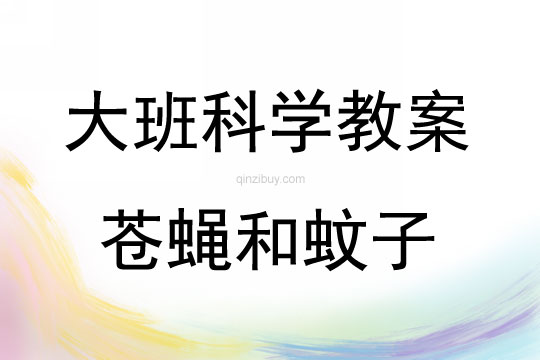 大班科學(xué)活動(dòng)蒼蠅和蚊子教案