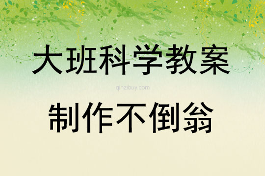 大班科學(xué)制作不倒翁教案反思
