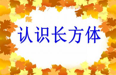 大班數學認識長方體PPT課件