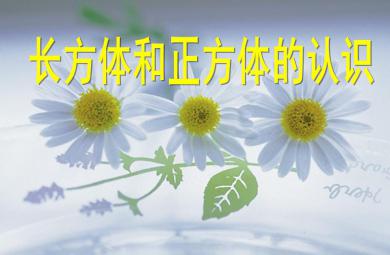 大班數學長方體和正方體的認識PPT課件