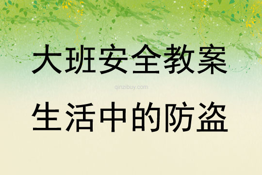 大班安全活動生活中的防盜教案反思