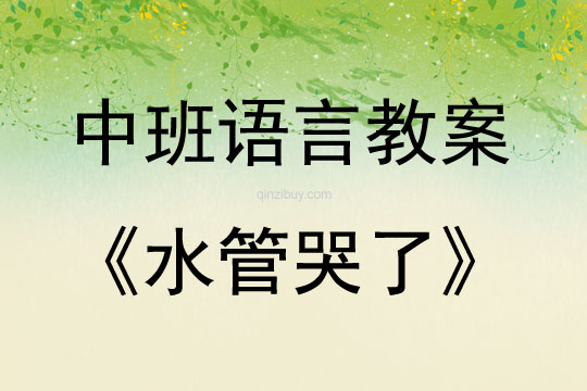 中班語言字寶寶——水管哭了教案