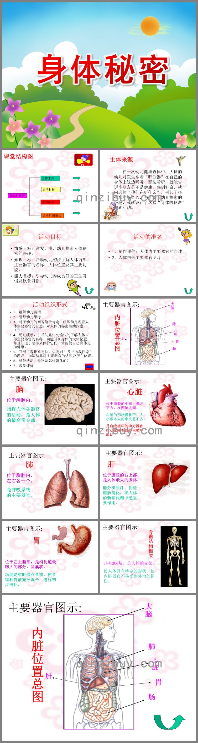 大班健康活動(dòng)身體秘密PPT課件