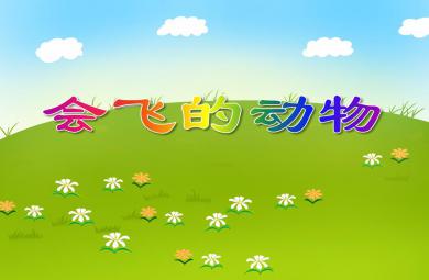 小班科學(xué)活動會飛的動物PPT課件