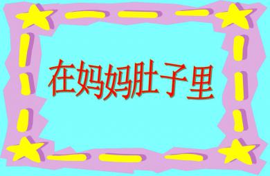 中班社會在媽媽肚子里PPT課件