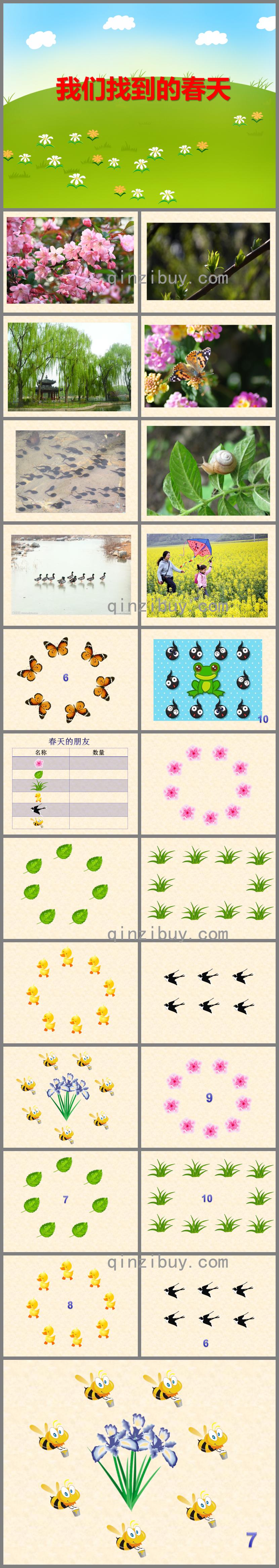 大班春天我們找到的春天PPT課件