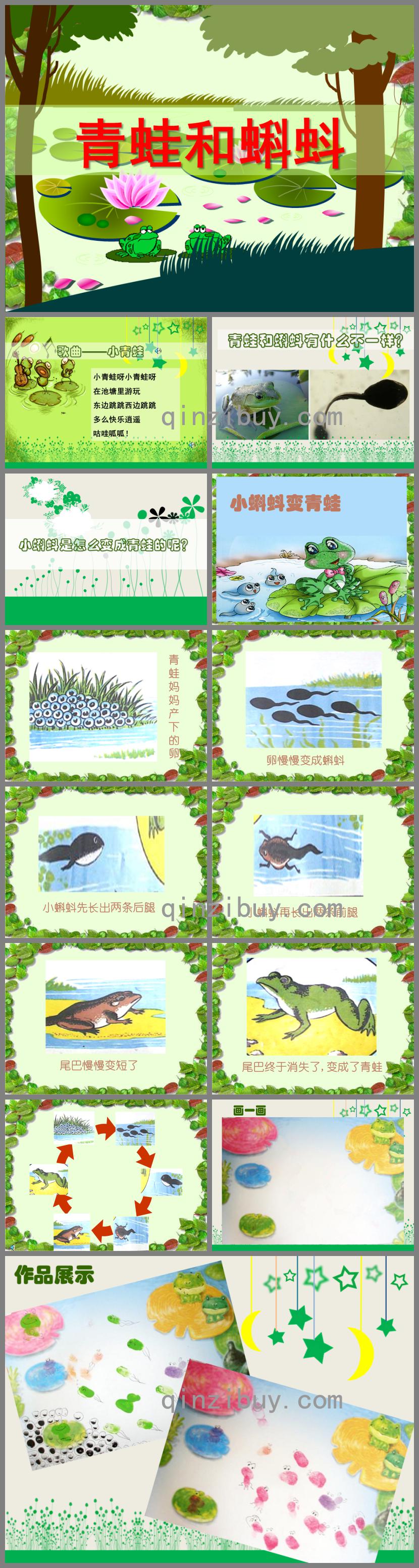 中班美術活動青蛙和蝌蚪PPT課件