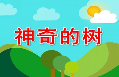 大班語言課件神奇的樹PPT課件