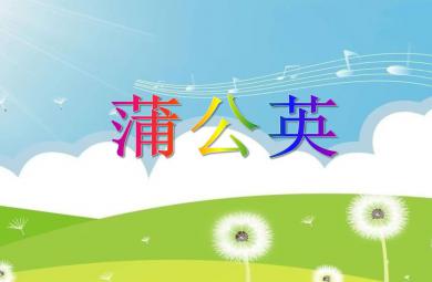大班語言蒲公英PPT課件