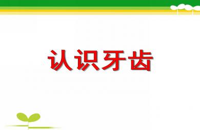 大班健康教育活動認識牙齒PPT課件