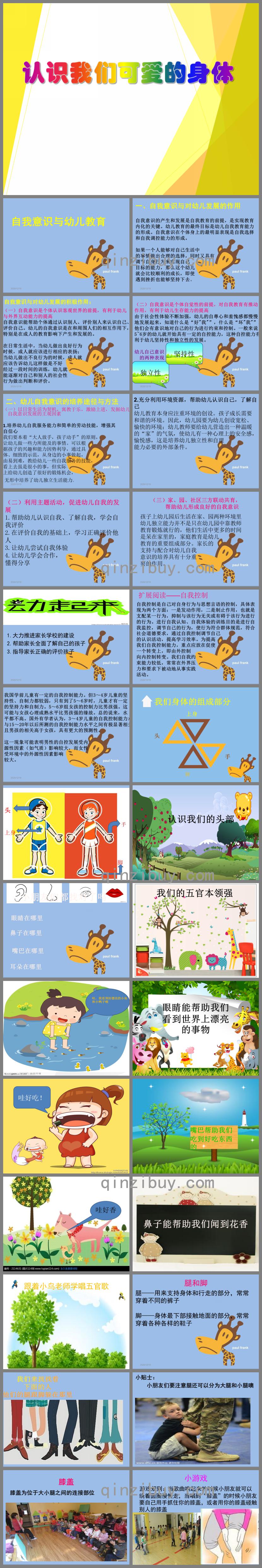 大班安全教育活動認識我們可愛的身體PPT課件