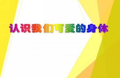大班安全教育活動認識我們可愛的身體PPT課件