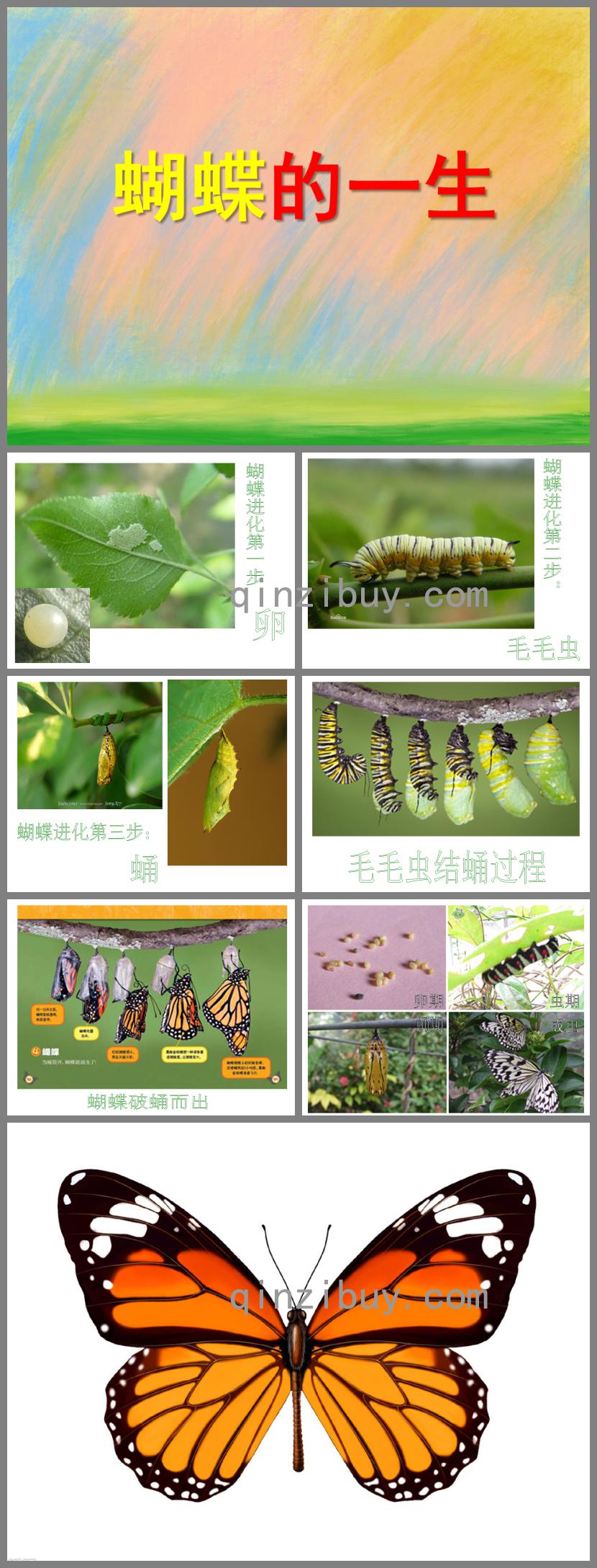 大班科學(xué)公開課好朋友PPT課件