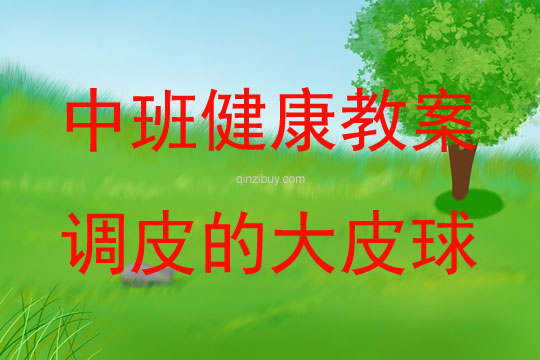 中班體育活動調皮的大皮球教案反思