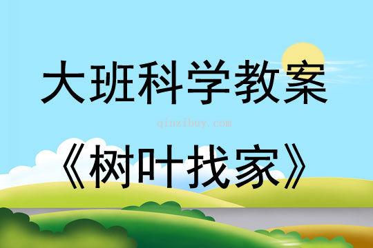 大班科學樹葉找家教案