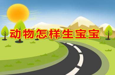 大班科學活動動物怎樣生寶寶PPT課件