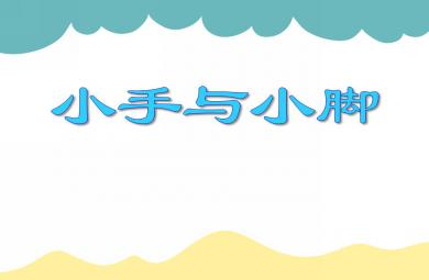 小班語言小手和小腳PPT課件