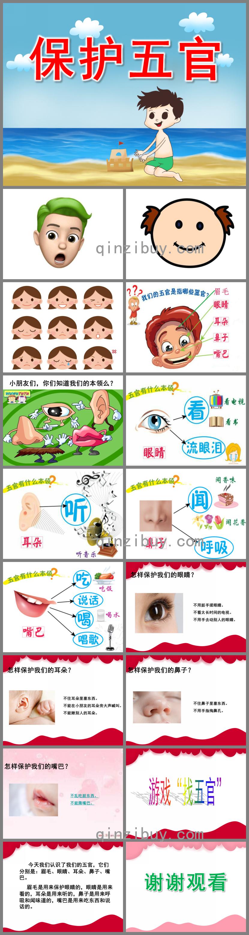 中班健康保護五官PPT課件