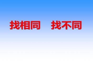 中班游戲找相同找不同PPT課件