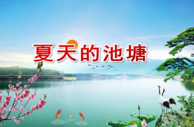 中班數(shù)學(xué)夏天的池塘PPT課件