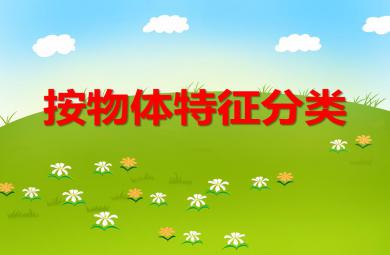 小班數(shù)學(xué)按物體特征分類PPT課件
