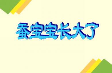 大班科學(xué)活動蠶寶寶長大了PPT課件