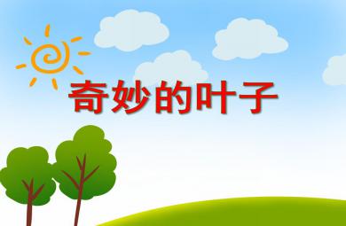大班科學(xué)活動奇妙的葉子PPT課件