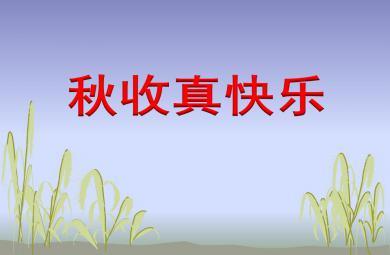 大班社會秋收真快樂PPT課件