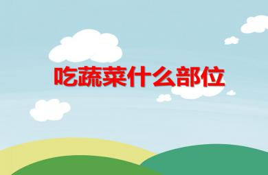 中班科學吃蔬菜什么部位PPT課件
