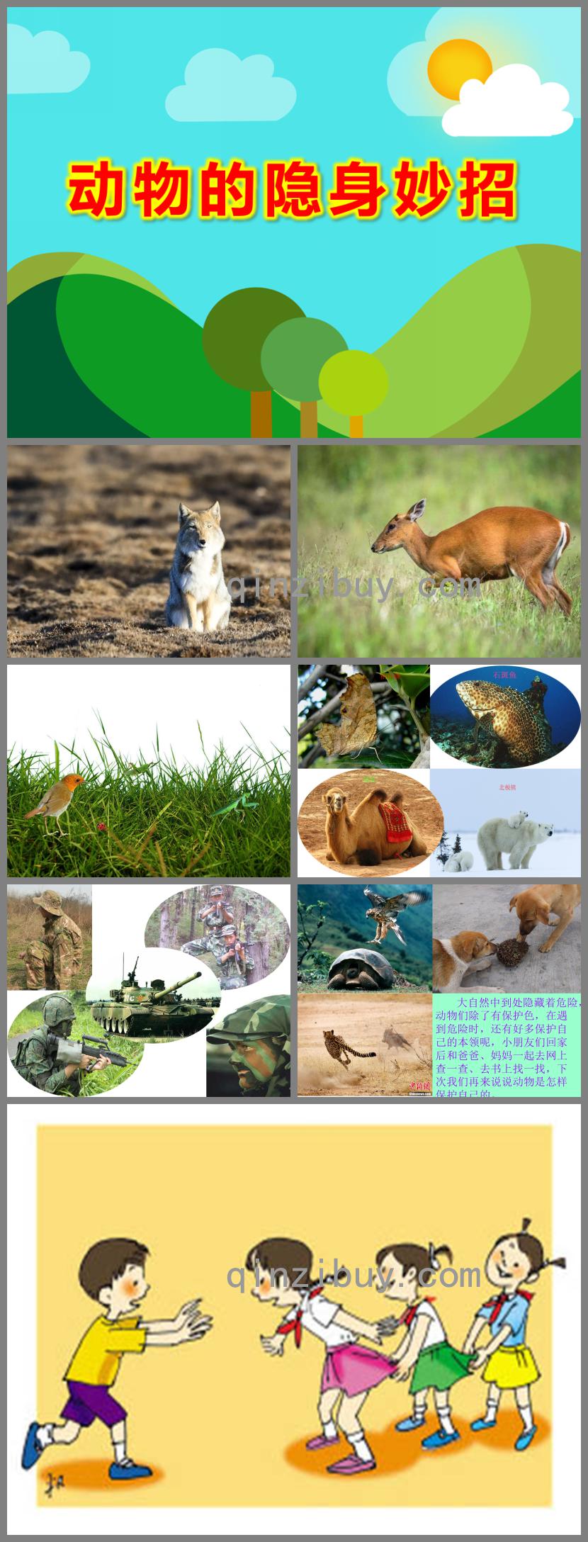 大班科學(xué)動(dòng)物的隱身妙招PPT課件