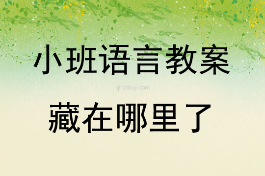 小班繪本活動藏在哪里了教案反思