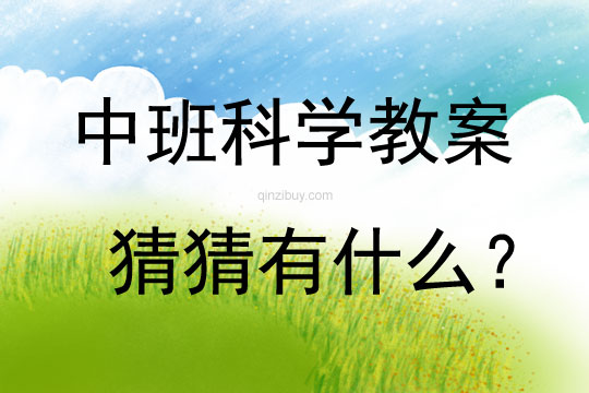 中班科學(xué)活動猜猜有什么？教案反思