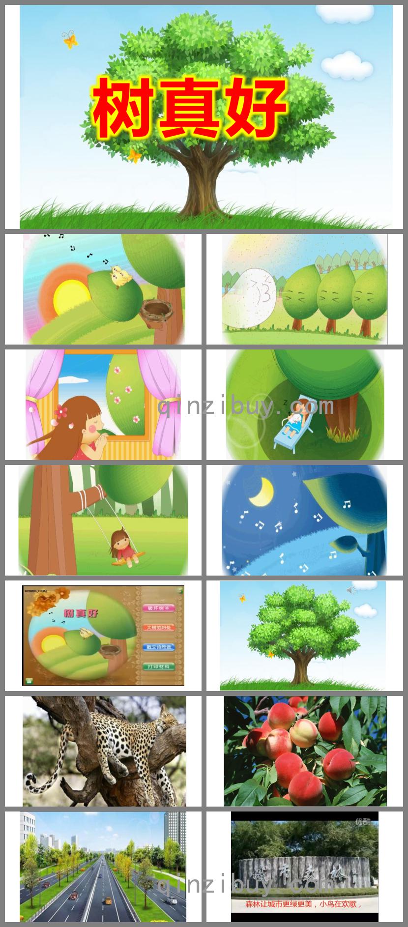 大班語言課件樹真好PPT課件