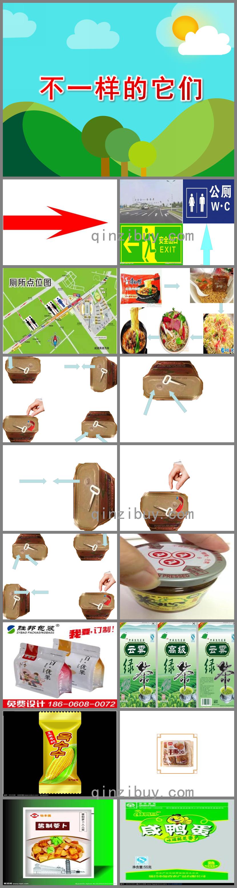 大班科學活動不一樣的它們PPT課件